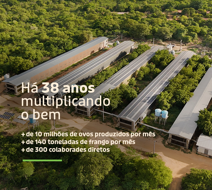 Nova Imagem Antes do Carrossel Principal